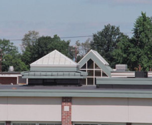 Goshen Elementry School translucent panel systems